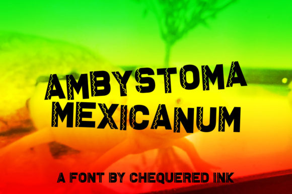Ambystoma Mexicanum: The Party-Ready Display Font for Bold Campaigns