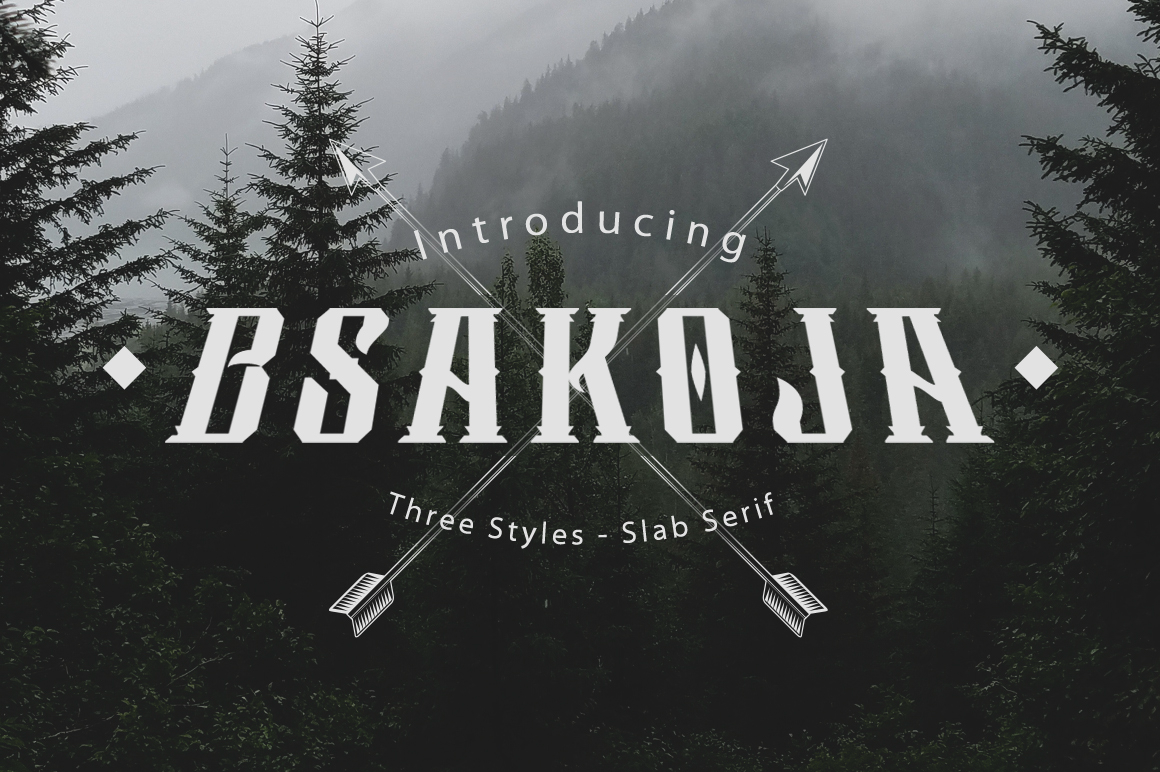 Bsakoja: A Stunning Slab Serif Display Font for Makers