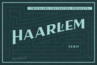 Haarlem Serif: The Display Typeface for Scroll-Stopping Campaigns