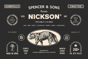 Nickson: A Stunning Display Typeface for Modern Digital Brands