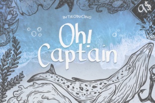 Oh Captain: The Bold Display Font That Powers Campaign Headlines