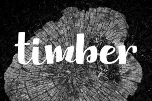 Timber: The Perfect Hand-Lettered Display Font for Branding Projects